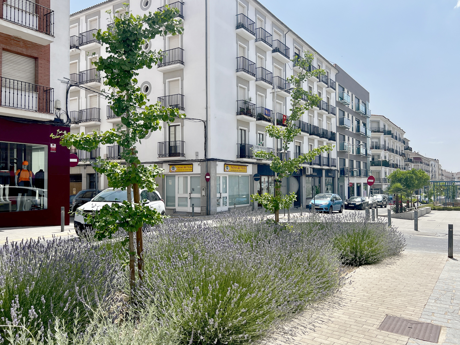 Ciudad Amable Pozoblanco 7