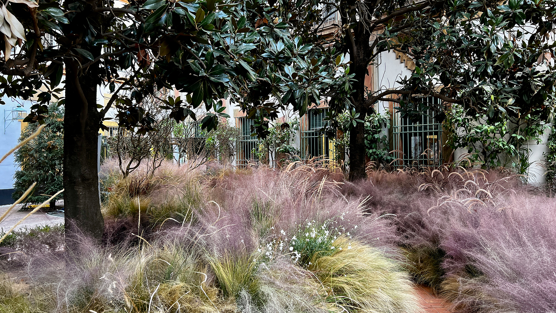 Asistencia técnica Festival Flora