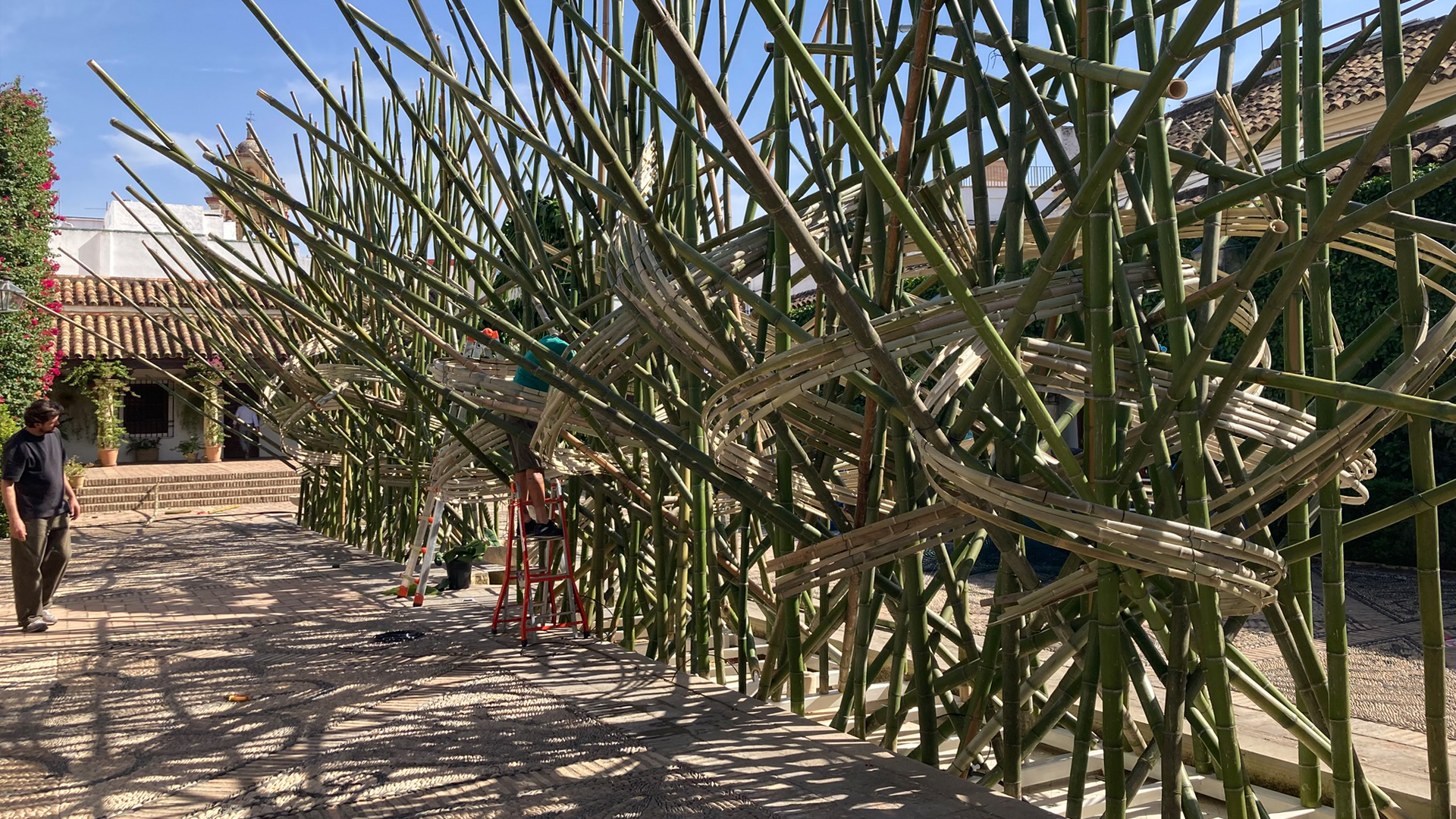 Asistencia técnica Festival Flora