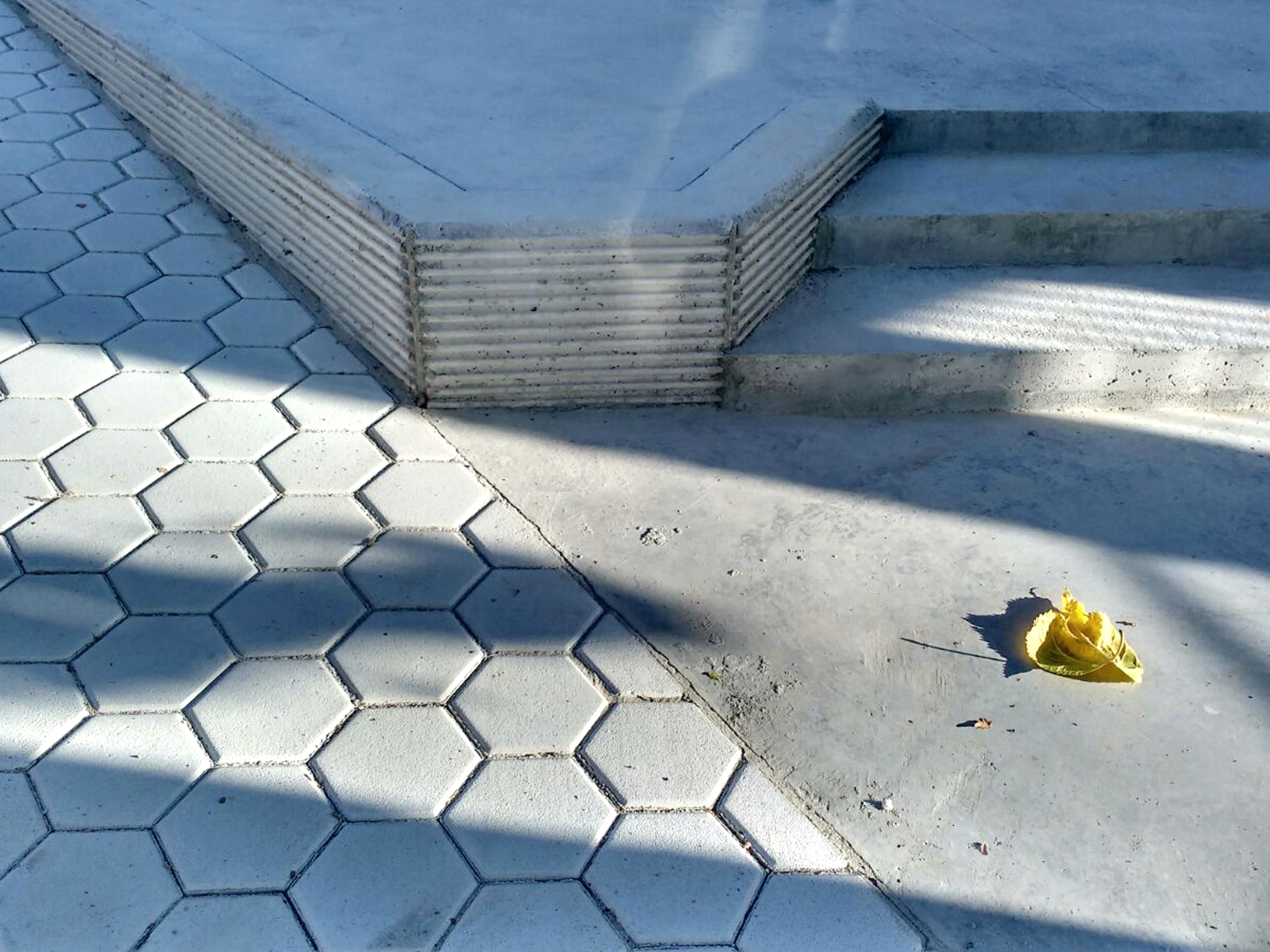 El patio de mi recreo 7